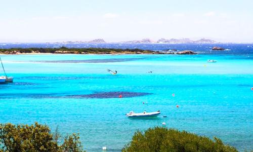 Baignade aux Lavezzi et sous les falaises - Au départ de Piantarella