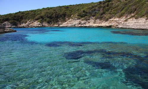 LES CALANQUES 